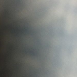 Meet your Posher, Delicia